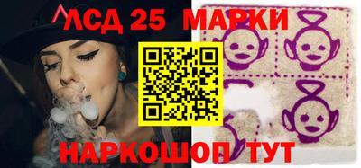 прущие грибы Будённовск