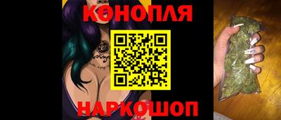 прущие грибы Будённовск