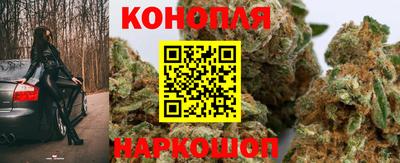крисы Бузулук