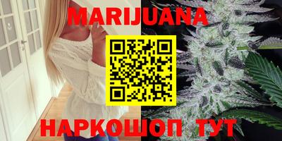 прущие грибы Будённовск